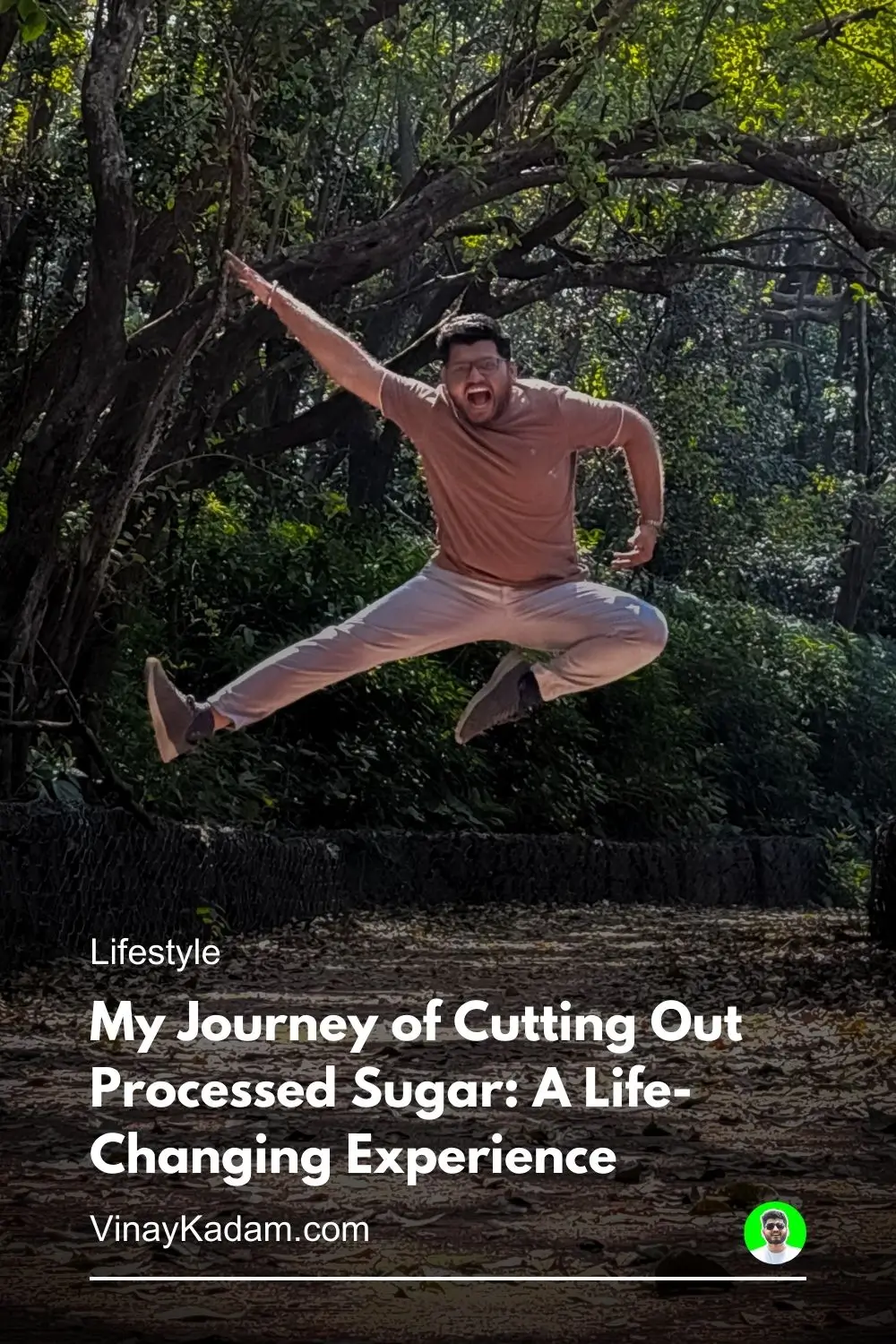 My Journey of Cutting Out Processed Sugar A Life-Changing Experience (Vinay Kadam)